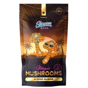 Albino Burma Magic Mushrooms