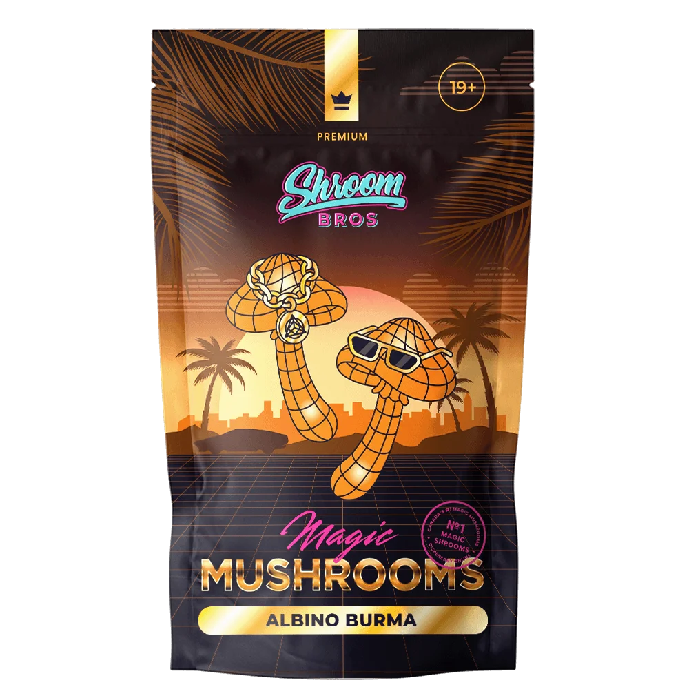albino-burma-magic-mushrooms-4821bfd7 Albino Burma Magic Mushrooms