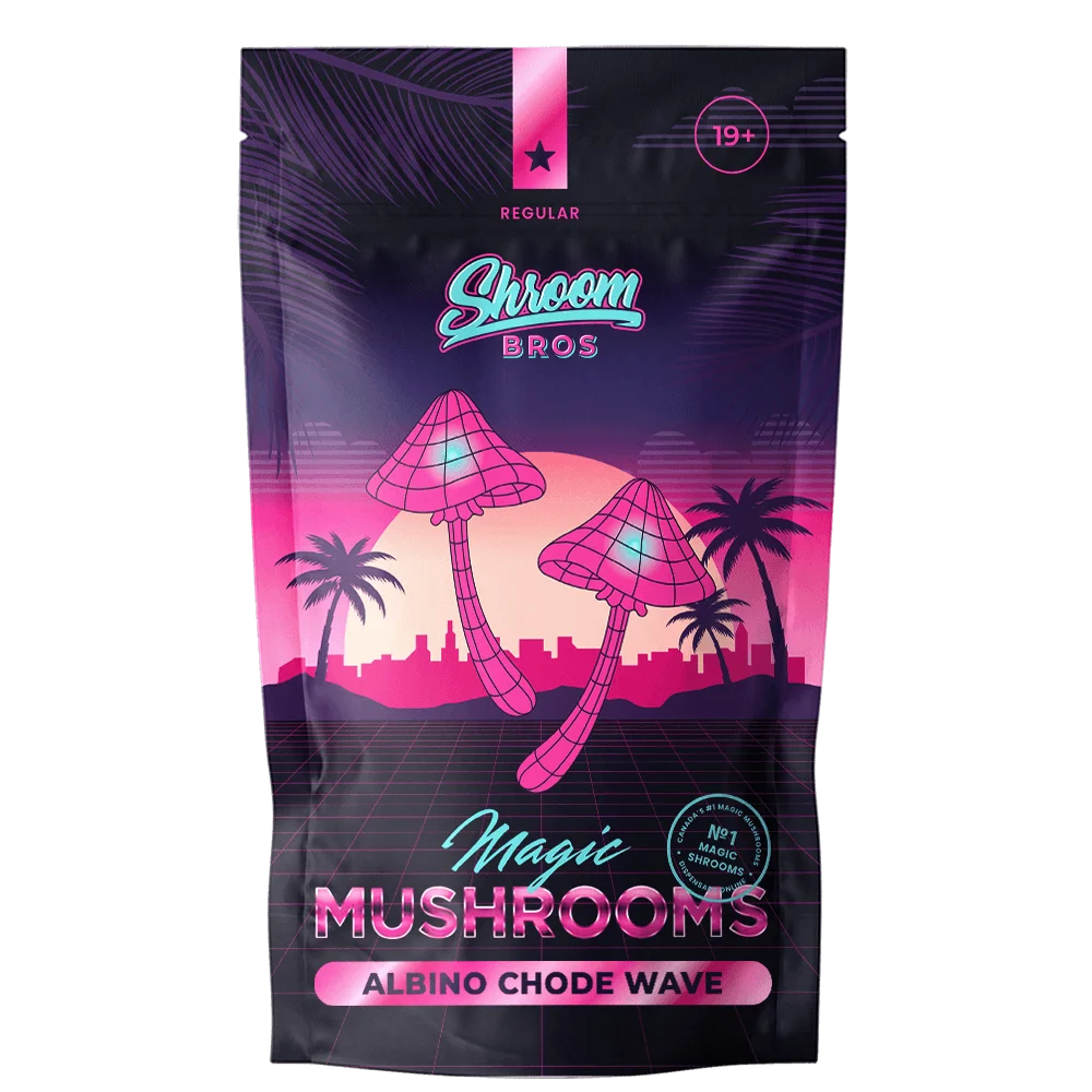 albino-chode-wave-magic-mushroom-4c76ed23 Albino Chode Wave Magic Mushroom